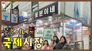 만물의거리 영상