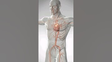 تلاوة مريحة لقلبك بصوت الشيخ     ياسر الدوسري #ارح_قلبك #راحة_نفسية #محمد_اللحيدان