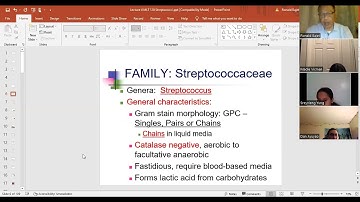 Lectue 4 - Streptococcaceae