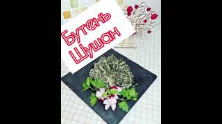 Шушана ❤️Бутень❤️Мандак❤️ Хми.