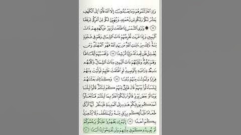 سورة الكهف - من الآية 17 حتى الآية 31