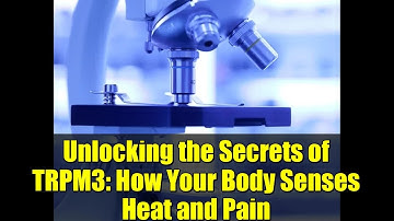 Unlocking the Secrets of TRPM3: How Your Body Senses Heat and Pain