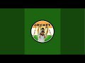Fun with Sports 🏏 is live
