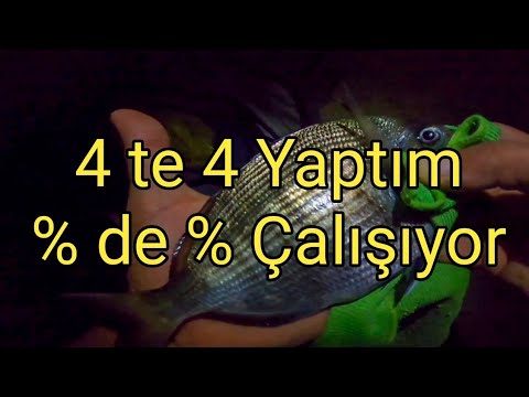 Bir Çok Balıkçı Sülünezi yanlış Takıyor / Sülünezle gece balık avı