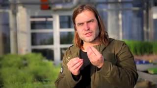 University Of Lausanne Discovers A Small Peptide That Controls Root Permeability