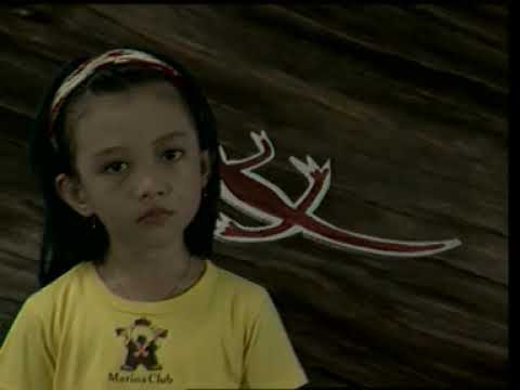 cicak