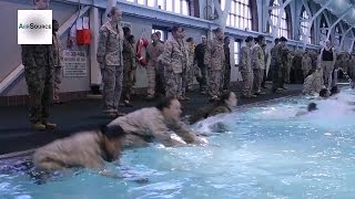 US Marine Recruits Boot Camp Swim Qualification