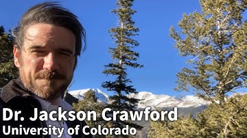 Reconstructing Languages