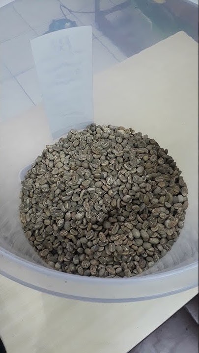 biji-kopi-mentah-grade-1-standar-scaa-scai-youtube