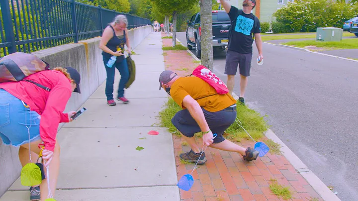 Destroy spotted lanternflies at this N.J. pub crawl