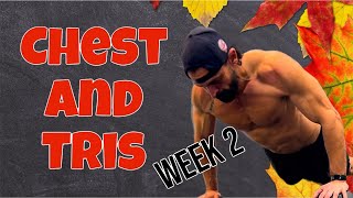 Day 1 Week 2: Live Workout Chest &amp; Tris