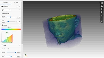 ParaviewGlance v3.0: VolumeRenderingDemo