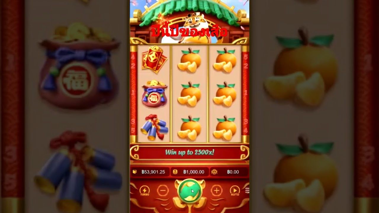 casino petro house vung tau pgslot fortunetiger slot
