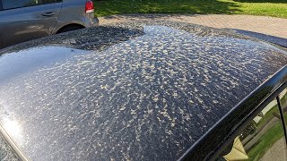Can snow foam remove this? Bilt Hamber versus Desert Dust Car Wash