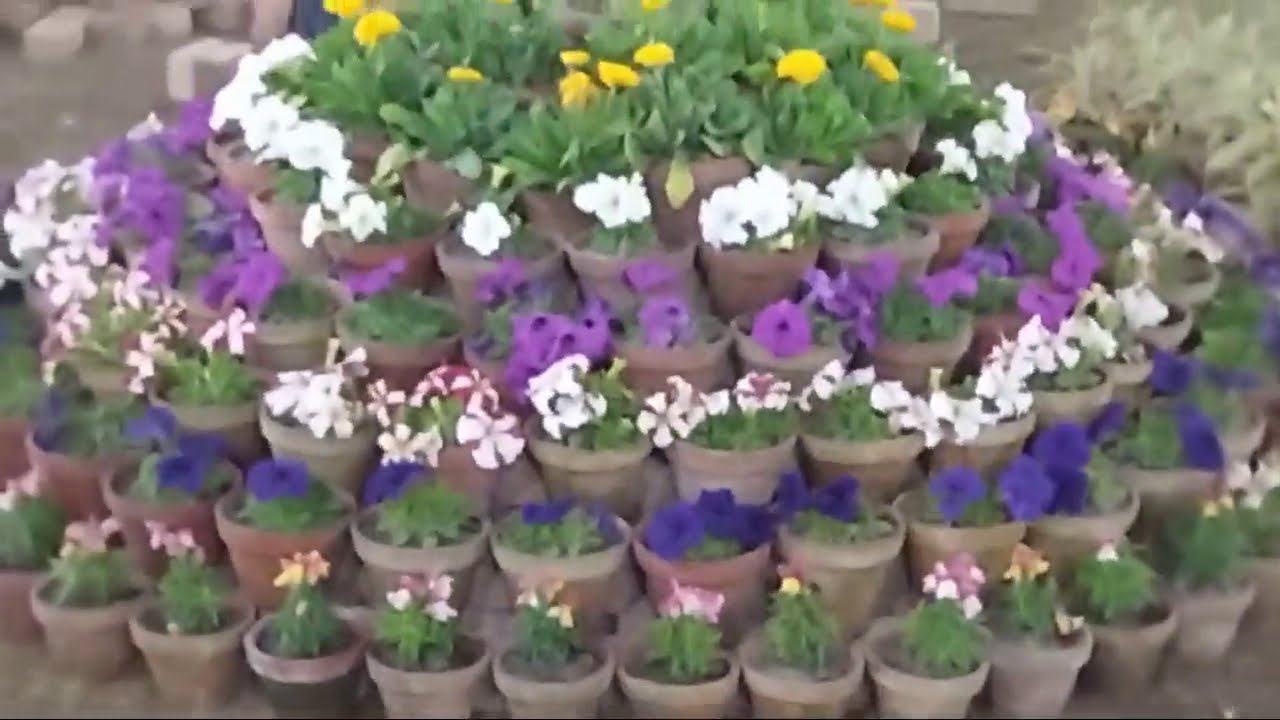 9th GRAND NURSERY MELA (Horticulture &Agriculture Show)HYDERABAD