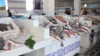 تجار سوق السمك الجديد بالجديدة : نبيع أسماك جديدة واثمنتنا هي الأفضل بالأسواق