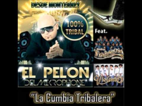 Cumbia Tribalera-dj el pelon del microphone.wmv