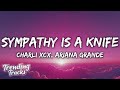 Charli Xcx Ariana Grande Sympathy Is A Knife Clean Lyrics Charli Xcx Ariana Grande Sympathy Is A Knife Clean Lyrics