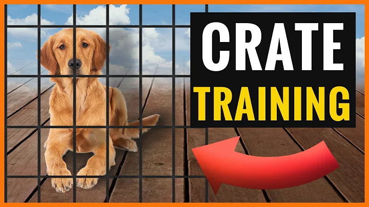 The Ultimate Guide to Crate Training Your Golden Retriever Puppy - Don't Miss These Tips!