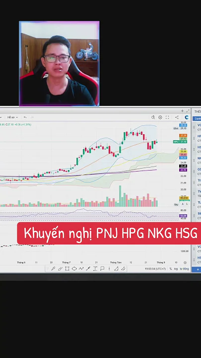 Khuyến nghị cổ phiếu thép PNJ HPG NKG HSG VGS #tuandt #tuandtchannel #daututaitinh