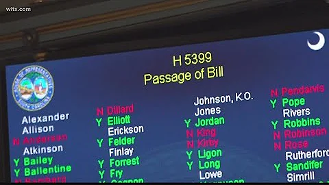 Abortion ban reaches South Carolina Senate despite GOP factions