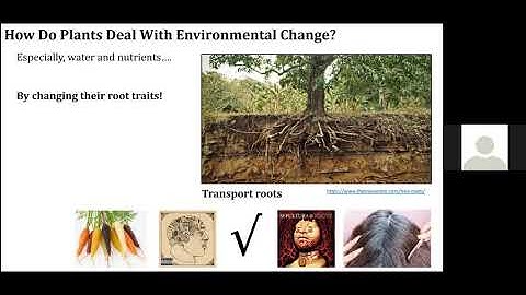 EEB Virtual Seminar: Monique Weemstra, U-M EEB Postdoc 9 24 2020