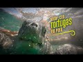 🐢 Nadé con TORTUGAS GIGANTES en Perú 😱 (y dan miedito)