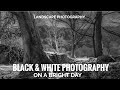 Black and White Photography On a Bright Day