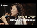 Isn&#39;t She Lovely, Trio Soul Session Live Performance丨Donner Spotlight