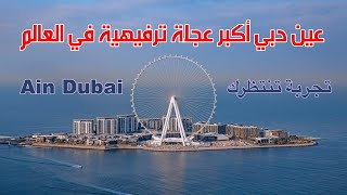 تعالو نشوف عين دبي أكبر عجلة ترفيهية في العالم | Ain Dubai  دبي الامارات