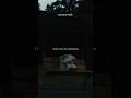#asiris #wintergreen #newmusic #folk #granolatok #postmalone #noahkahan #shorts