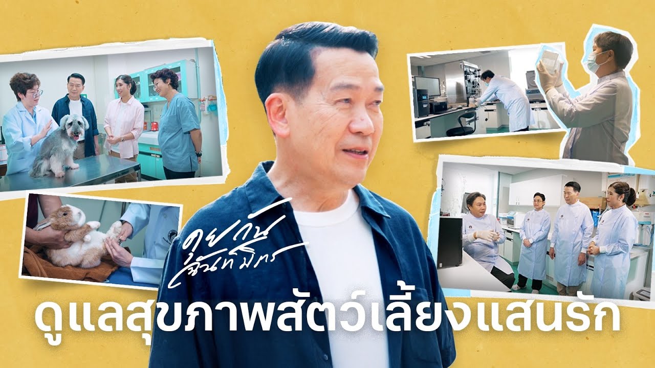 ดูแลสุขภาพสัตว์เลี้ยงแสนรัก | สัตวแพทยศาสตร์ | สถาบันชีววิทยาศาสตร์โมเลกุล | คุยกันฉันท์มิตร EP.3