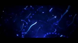 intro sin texto editable [LautaroYT]