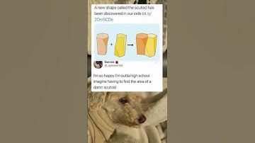 This is why I hate math #maths #school #testing #schoolteachers #mathlogic #mathclass #viralshort