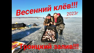 видео: ВЕСЕННИЙ КЛЁВ СОРОГИ И ЛЕЩА!!!/ТРОИЦКИЙ ЗАЛИВ КРАСНОЯРСКОГО ВОДОХРАНИЛИЩА!!!/И ЭТО ЕЩЁ НЕ ЗАКРЫТИЕ!! картинка: ВЕСЕННИЙ КЛЁВ СОРОГИ И ЛЕЩА!!!/ТРОИЦКИЙ ЗАЛИВ КРАСНОЯРСКОГО ВОДОХРАНИЛИЩА!!!/И ЭТО ЕЩЁ НЕ ЗАКРЫТИЕ!!