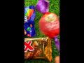 ASMR オランダお菓子 | ストロープワッフル 音フェチ #asmr