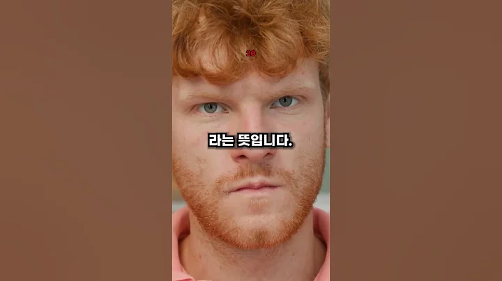 레전드카 이름이 뭔가요? (2025)