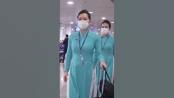 Tiếp Viên Hàng Không Chân Dài Và Đẹp Là Chưa Đủ