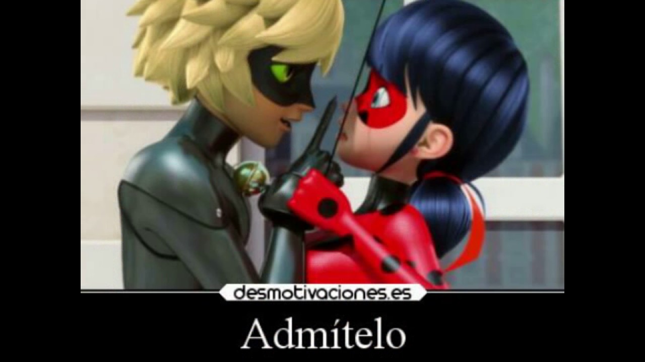 Frases de ladybug y chat noir (espero que que les guste) - YouTube