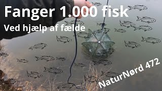 Verdens Bedste FISKE FÆLDE!!!! Nye fisk til min sø!!!!