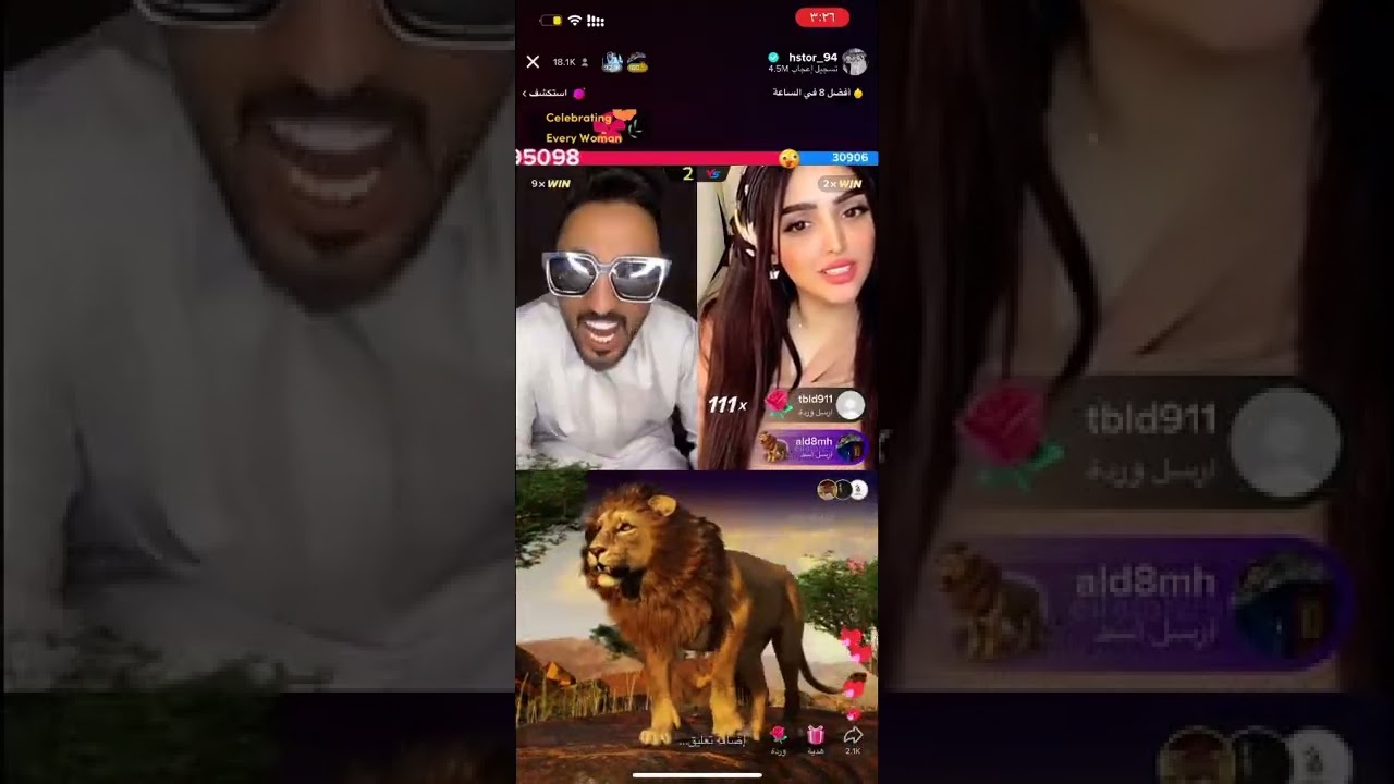 بث هستور وايلاف