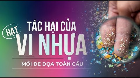 Top 7 Tác Hại Của hạt Vi Nhựa Đối Với Sức Khỏe Con Người