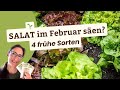 Frühe Salataussaat: Diese 4 Sorten eignen sich