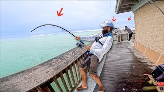 Craziest Day I've Ever Seen At The Pier! They Never Stopped Biting!