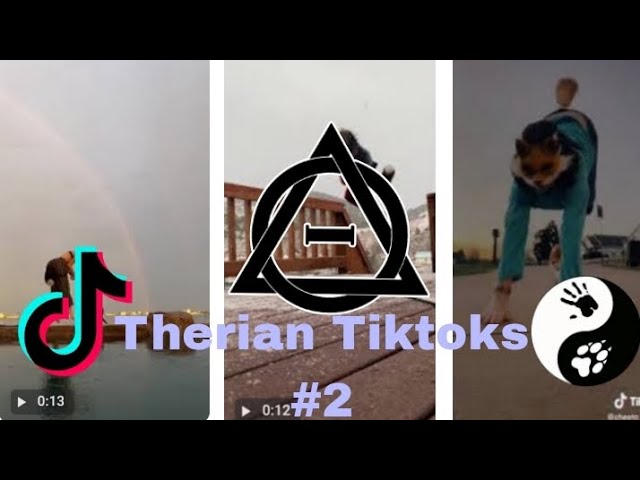Therian TikToks 2! (Read desc) 