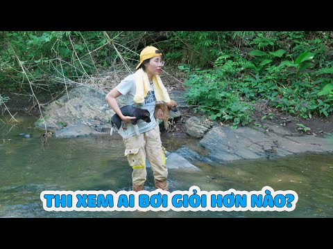 Video: Làm thế nào để có được những con chó ốm yếu, sợ hãi, hay chuyển động được sử dụng để cưỡi trong xe