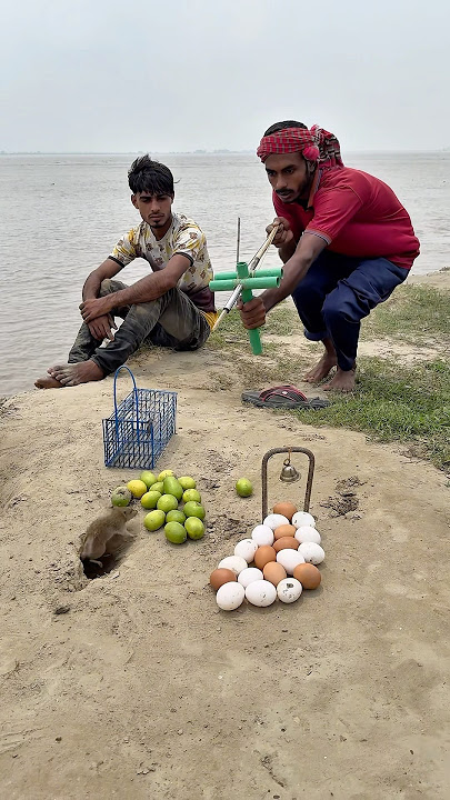 Amazing rodent hunt skills 01 #rathunter #agriculture #villagelife