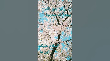 القرآن الكريم/سورة الإسراء القارئ الحاج عامر الكاظمي/اللهم صل وسلم على نبينا محمد