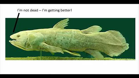 Mass Extinctions, Ray-Finned Fishes, and the Closi...