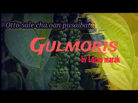 GULMORIS Lyrics Edit Song by Lucas Marak viral  lyricsvideo